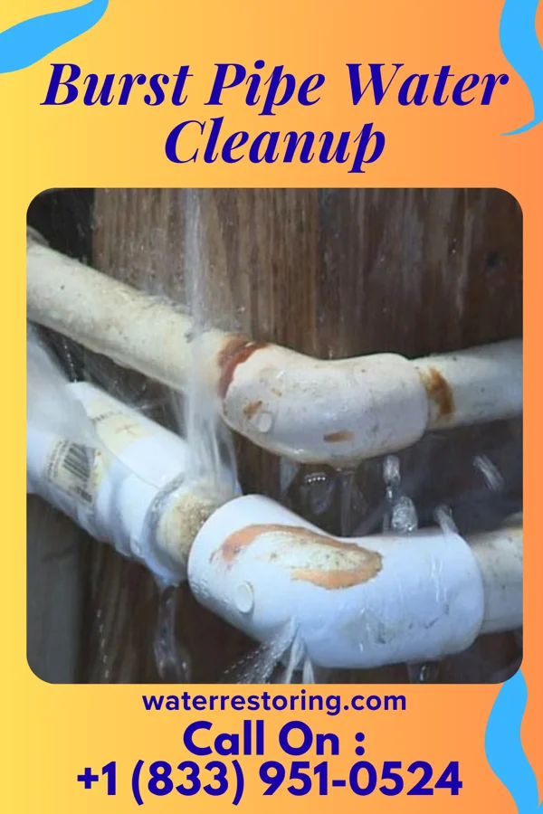 Burst Pipe Water Cleanup in Anthoston, KY
