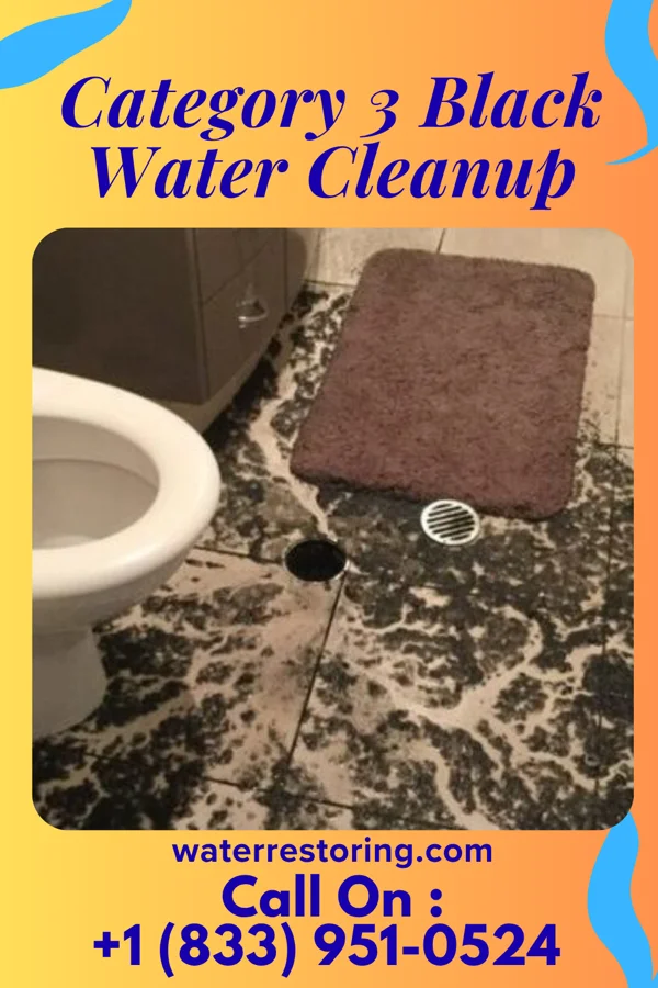 Category 3 Black Water Cleanup in Anthoston, KY