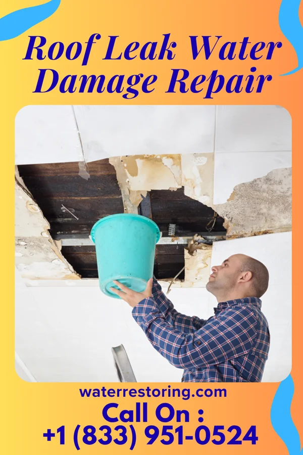 Roof Leak Water Damage Repair in Anthoston, KY